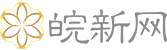皖新网